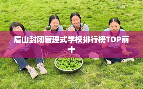 眉山封闭管理式学校排行榜TOP前十 眉山封闭管理式学校排行榜TOP前十