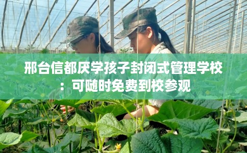 邢台信都厌学孩子封闭式管理学校：可随时免费到校参观