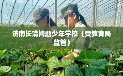 济南长清问题少年学校(受教育局监管) 济南长清问题少年学校(受教育局监管)