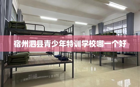 宿州泗县青少年特训学校哪一个好 宿州泗县青少年特训学校哪一个好