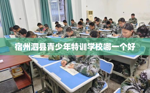 宿州泗县青少年特训学校哪一个好 宿州泗县青少年特训学校哪一个好