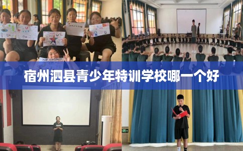 宿州泗县青少年特训学校哪一个好 宿州泗县青少年特训学校哪一个好