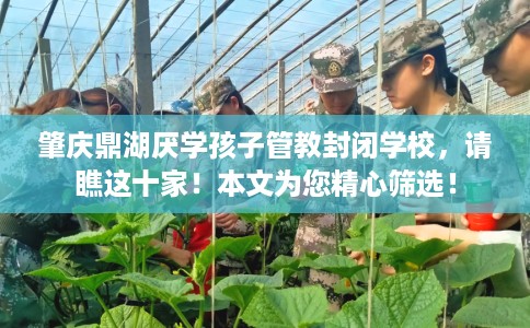 肇庆鼎湖厌学孩子管教封闭学校,请瞧这十家!本文为您精心筛选! 肇庆鼎湖厌学孩子管教封闭学校,请瞧这十家!本文为您精心筛选!