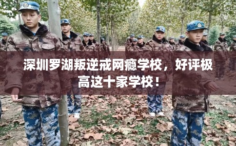 深圳罗湖叛逆戒网瘾学校,好评极高这十家学校! 深圳罗湖叛逆戒网瘾学校,好评极高这十家学校!