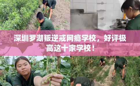 深圳罗湖叛逆戒网瘾学校,好评极高这十家学校! 深圳罗湖叛逆戒网瘾学校,好评极高这十家学校!