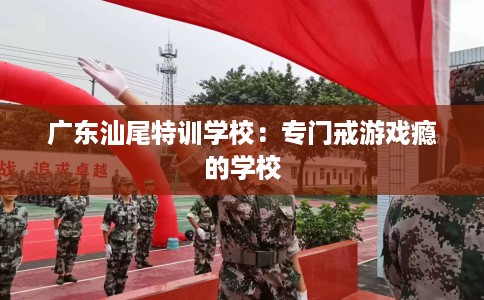 广东汕尾特训学校：专门戒游戏瘾的学校