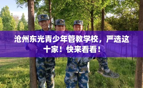 沧州东光青少年管教学校,严选这十家!快来看看! 沧州东光青少年管教学校,严选这十家!快来看看!