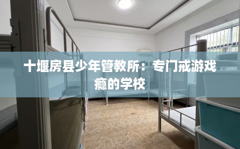 十堰房县少年管教所:专门戒游戏瘾的学校 十堰房县少年管教所:专门戒游戏瘾的学校