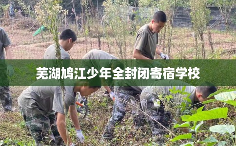 芜湖鸠江少年全封闭寄宿学校