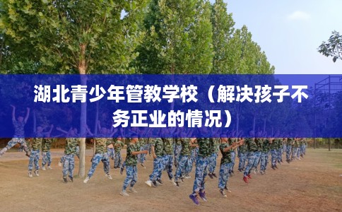 湖北青少年管教学校（解决孩子不务正业的情况）