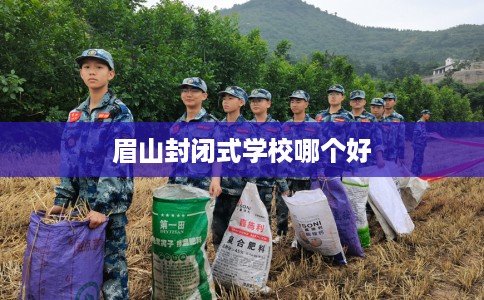 眉山封闭式学校哪个好