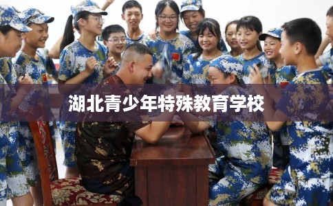 湖北青少年特殊教育学校 湖北青少年特殊教育学校