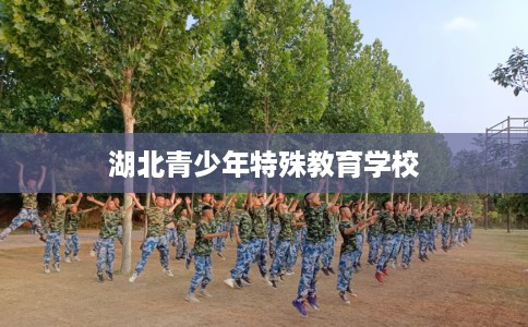 湖北青少年特殊教育学校 湖北青少年特殊教育学校