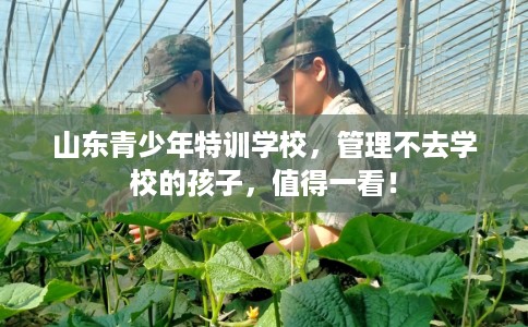 山东青少年特训学校,管理不去学校的孩子,值得一看! 山东青少年特训学校,管理不去学校的孩子,值得一看!