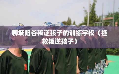 聊城阳谷叛逆孩子的训练学校(拯救叛逆孩子) 聊城阳谷叛逆孩子的训练学校(拯救叛逆孩子)