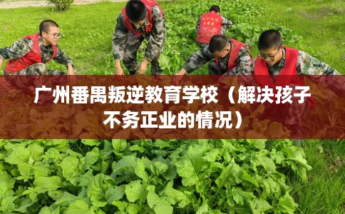 广州番禺叛逆教育学校(解决孩子不务正业的情况) 广州番禺叛逆教育学校(解决孩子不务正业的情况)