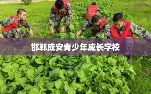 邯郸成安青少年成长学校 邯郸成安青少年成长学校