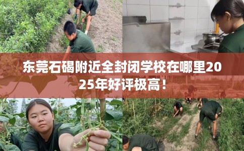 东莞石碣附近全封闭学校在哪里2025年好评极高！