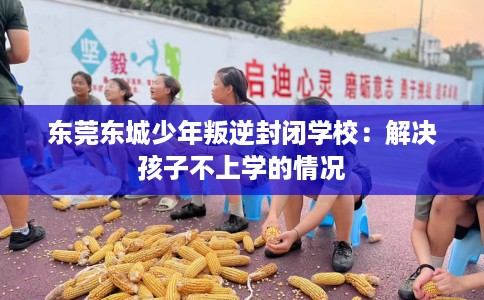 东莞东城少年叛逆封闭学校：解决孩子不上学的情况