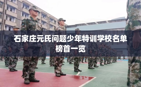 石家庄元氏问题少年特训学校名单榜首一览