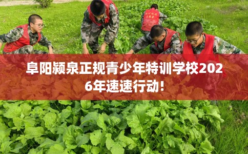 阜阳颍泉正规青少年特训学校2026年速速行动! 阜阳颍泉正规青少年特训学校2026年速速行动!