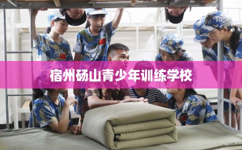 宿州砀山青少年训练学校 宿州砀山青少年训练学校