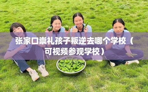 张家口崇礼孩子叛逆去哪个学校（可视频参观学校）