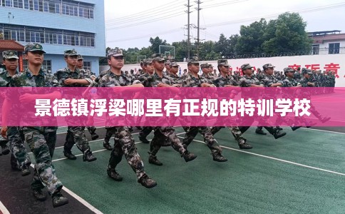景德镇浮梁哪里有正规的特训学校 景德镇浮梁哪里有正规的特训学校