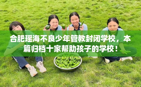 合肥瑶海不良少年管教封闭学校,本篇归档十家帮助孩子的学校! 合肥瑶海不良少年管教封闭学校,本篇归档十家帮助孩子的学校!