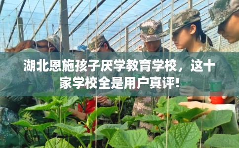 湖北恩施孩子厌学教育学校，这十家学校全是用户真评!