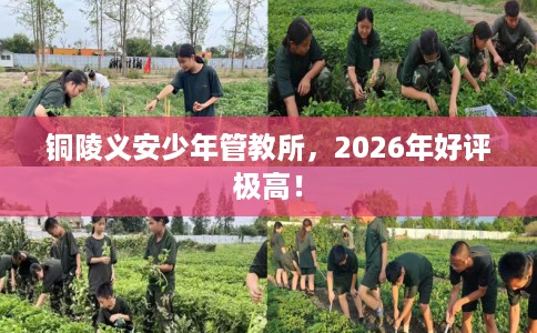 铜陵义安少年管教所，2026年好评极高！