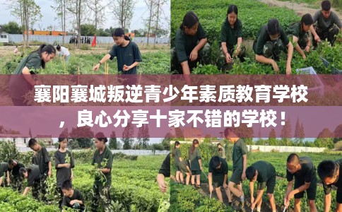 襄阳襄城叛逆青少年素质教育学校，良心分享十家不错的学校！