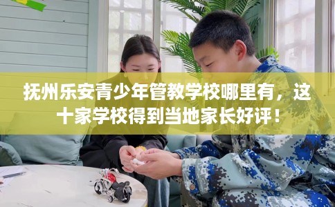 抚州乐安青少年管教学校哪里有，这十家学校得到当地家长好评！