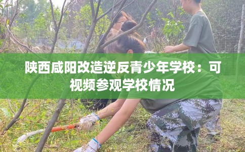 陕西咸阳改造逆反青少年学校：可视频参观学校情况