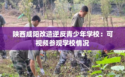 陕西咸阳改造逆反青少年学校：可视频参观学校情况
