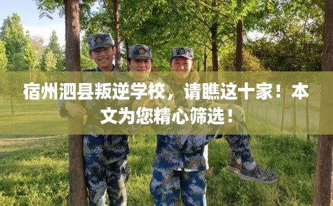 宿州泗县叛逆学校，请瞧这十家！本文为您精心筛选！