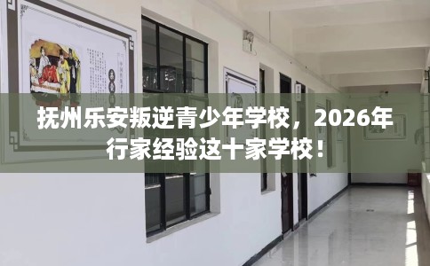 抚州乐安叛逆青少年学校，2026年行家经验这十家学校！