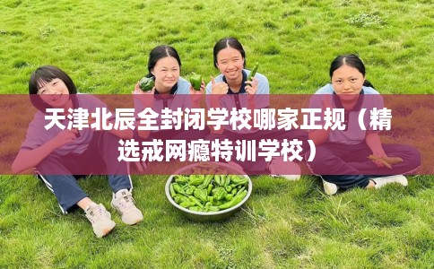 天津北辰全封闭学校哪家正规（精选戒网瘾特训学校）
