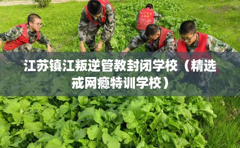 江苏镇江叛逆管教封闭学校（精选戒网瘾特训学校）