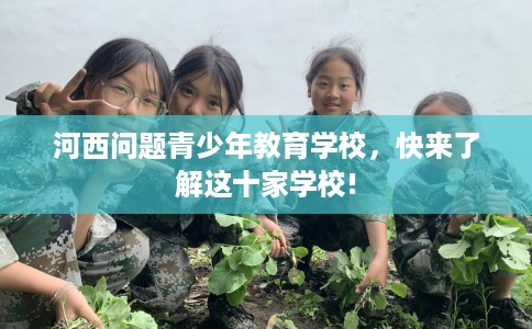 河西问题青少年教育学校，快来了解这十家学校!