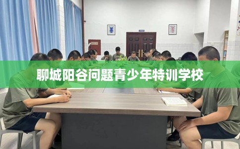 聊城阳谷问题青少年特训学校