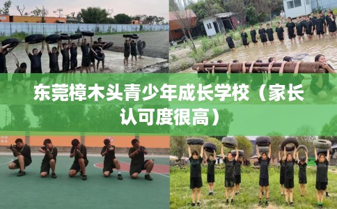 东莞樟木头青少年成长学校（家长认可度很高）