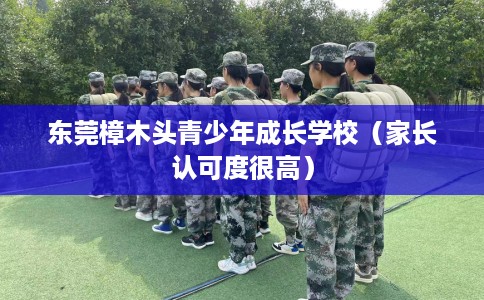 东莞樟木头青少年成长学校（家长认可度很高）