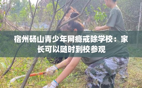 宿州砀山青少年网瘾戒除学校：家长可以随时到校参观