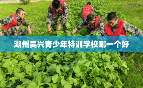湖州吴兴青少年特训学校哪一个好