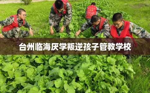 台州临海厌学叛逆孩子管教学校