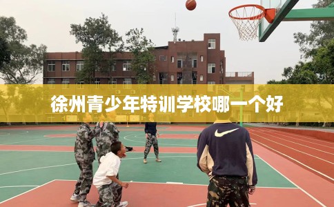徐州青少年特训学校哪一个好