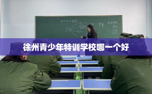 徐州青少年特训学校哪一个好