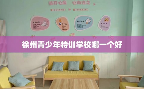 徐州青少年特训学校哪一个好
