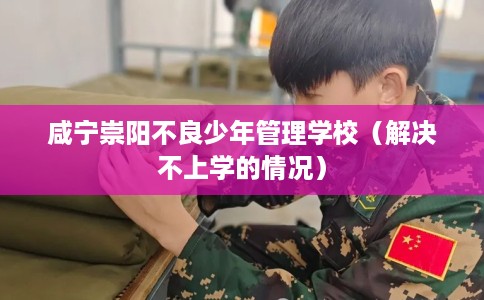 咸宁崇阳不良少年管理学校（解决不上学的情况）